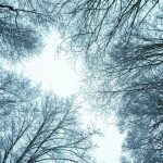 충청권 흐리고 비… 수도권은 주말 ‘대설’ 예고